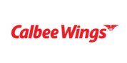 Calbee Wings